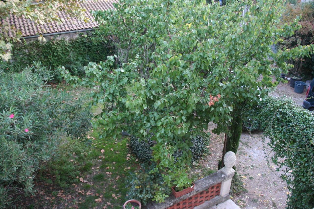 Le Mas Des Dames Appartement Avignon Eksteriør bilde