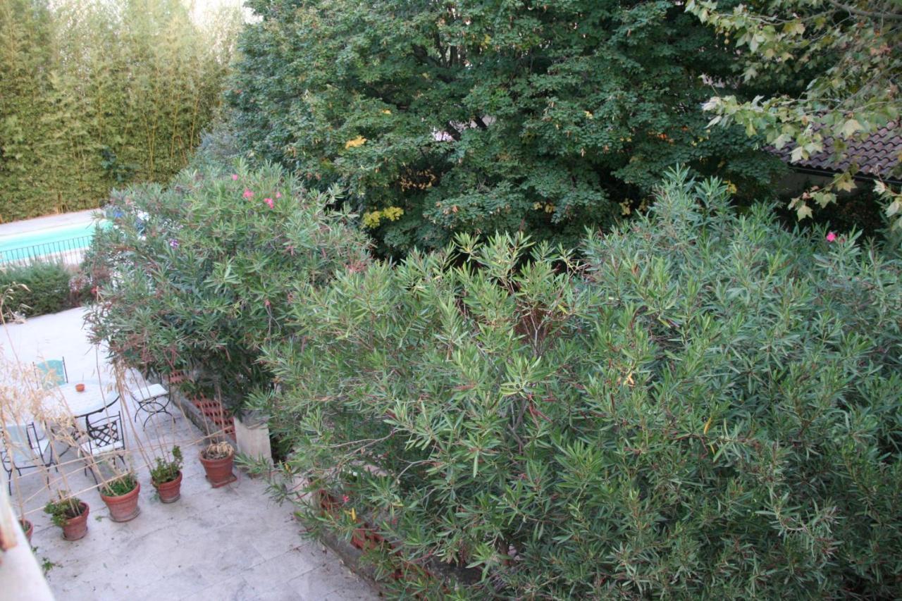 Le Mas Des Dames Appartement Avignon Eksteriør bilde