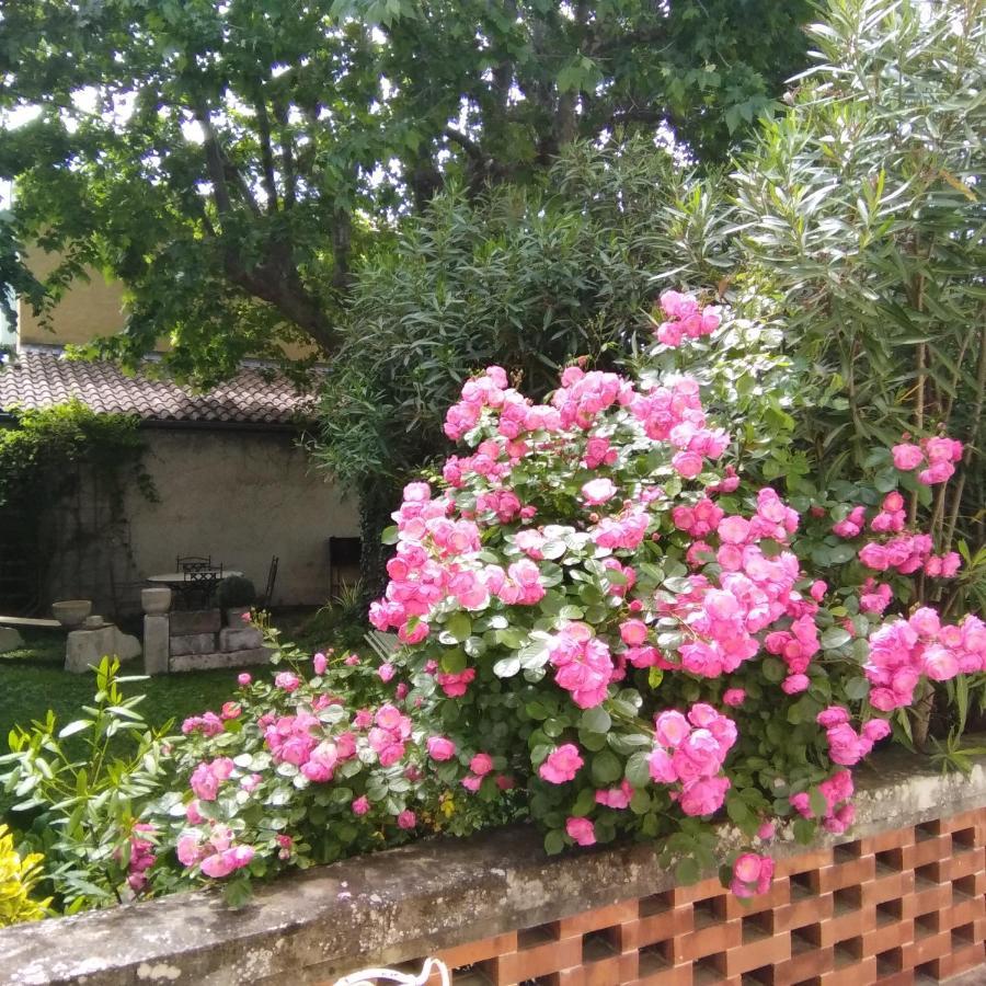 Le Mas Des Dames Appartement Avignon Eksteriør bilde
